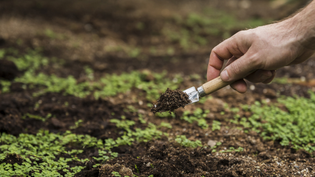 Ставропольские ученые с коллегами из Москвы нашли способ сократить выбросы углекислого газа на 4%