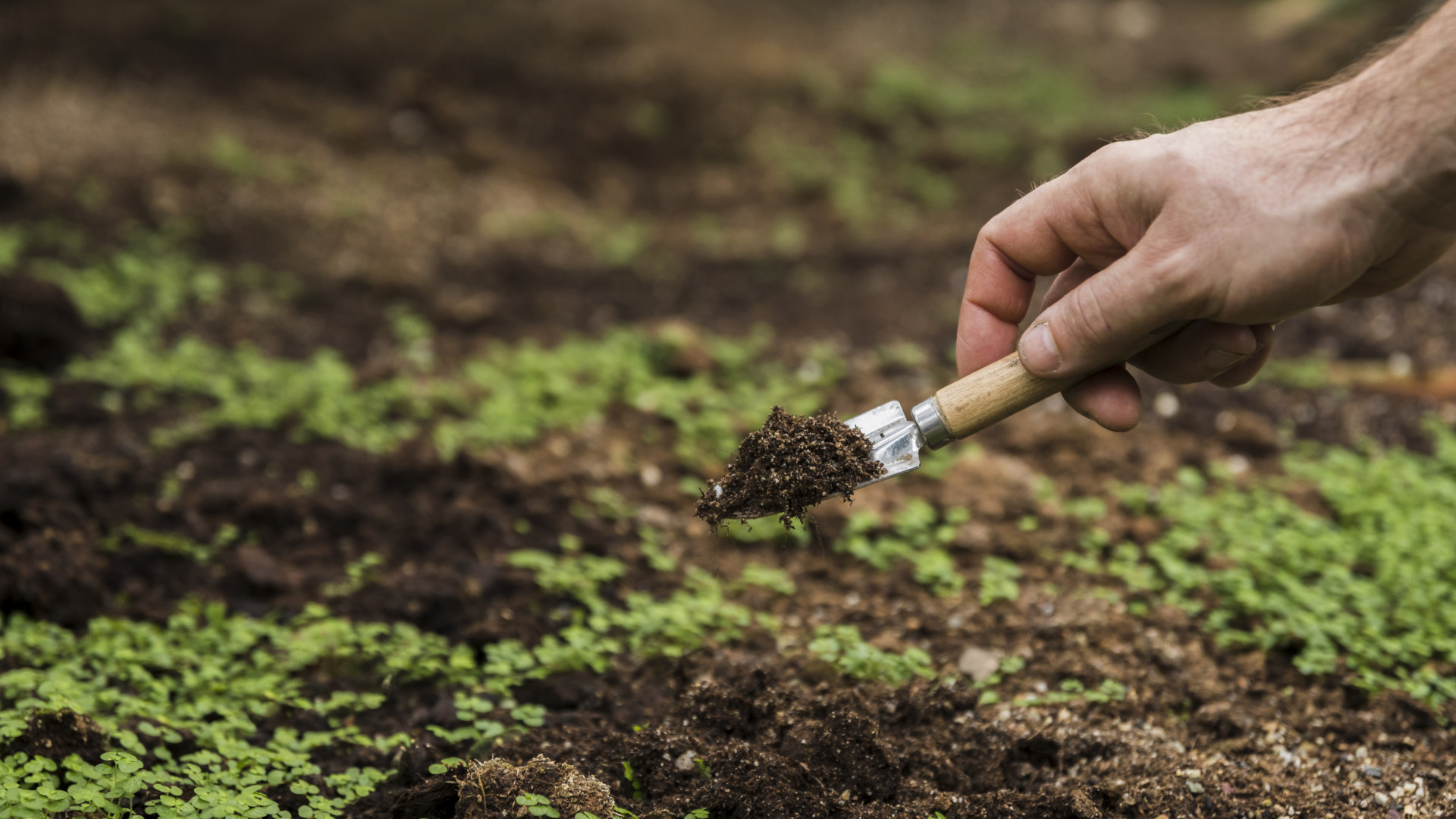 Ставропольские ученые с коллегами из Москвы нашли способ сократить выбросы углекислого газа на 4%