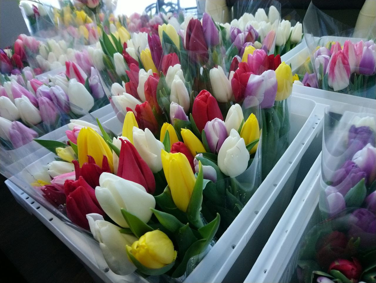 Почти 9000 рублей: во сколько обойдется ставропольцам поздравление любимых с 8 Марта