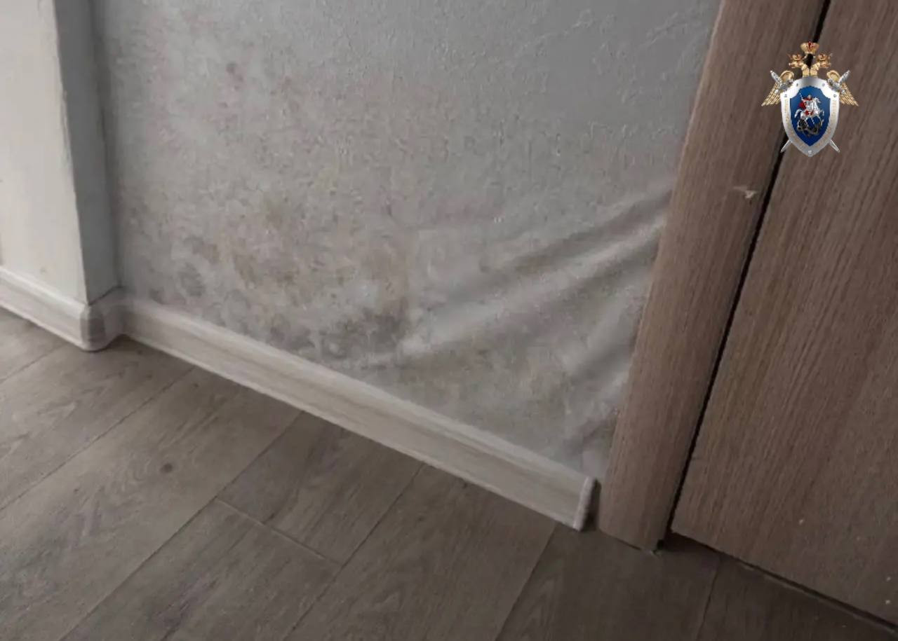 Прокуратура и СК проверяют сообщения о плесени и отсутствии коммуникаций в многоэтажке Пятигорска