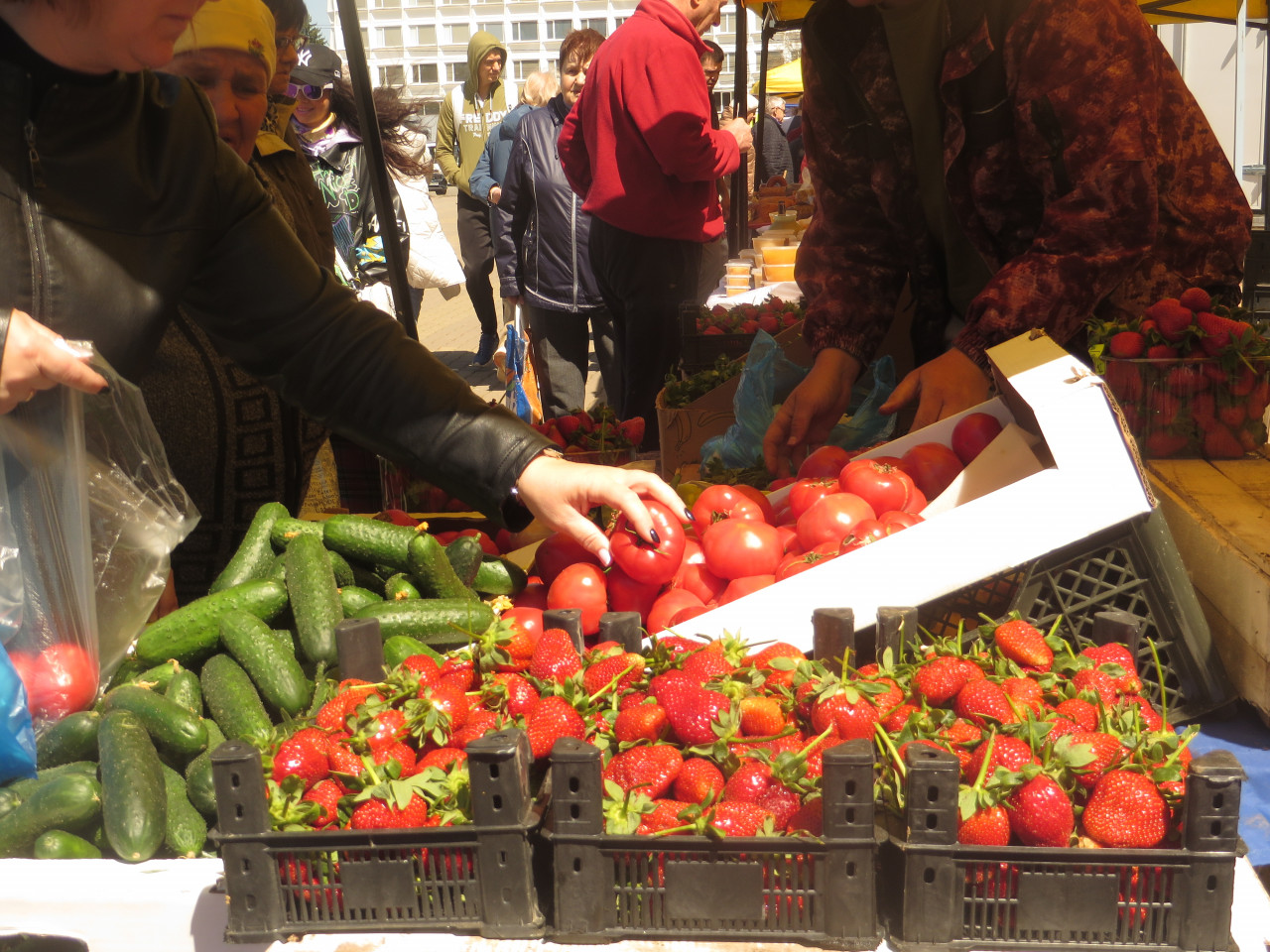 Более 40 предприятий Ставрополя поучаствуют в торгово-закупочной сессии 13 марта