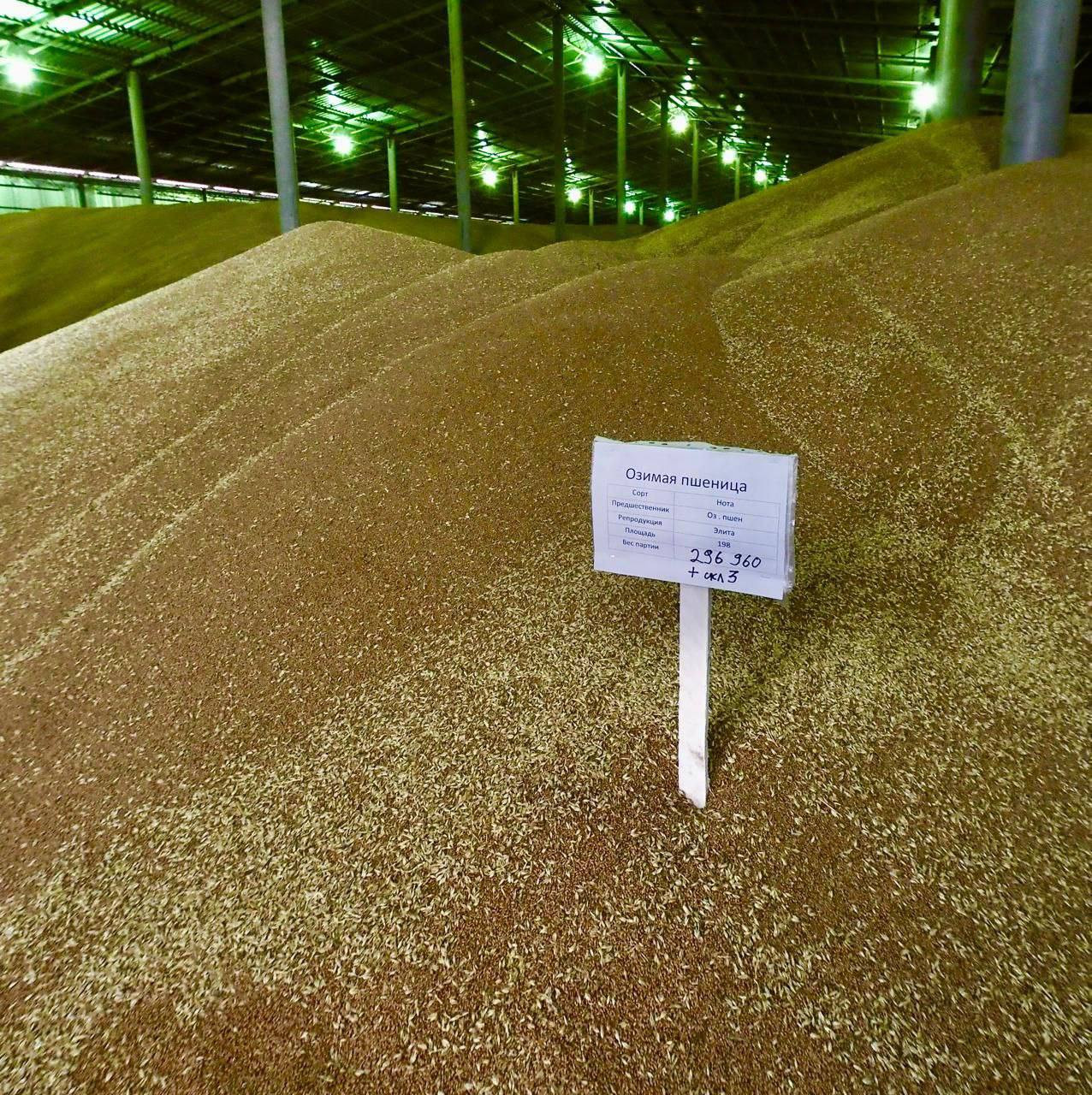 Ставрополье нарастило экспорт сельхозпродукции до 57 млн долларов