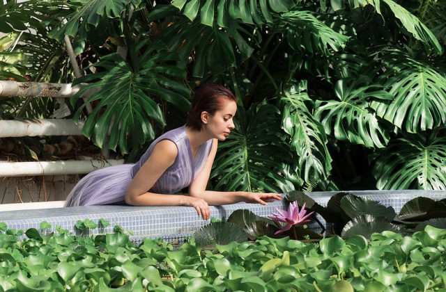 Домашний сад: как выбрать растения и ухаживать за ними, рассказывает озеленитель