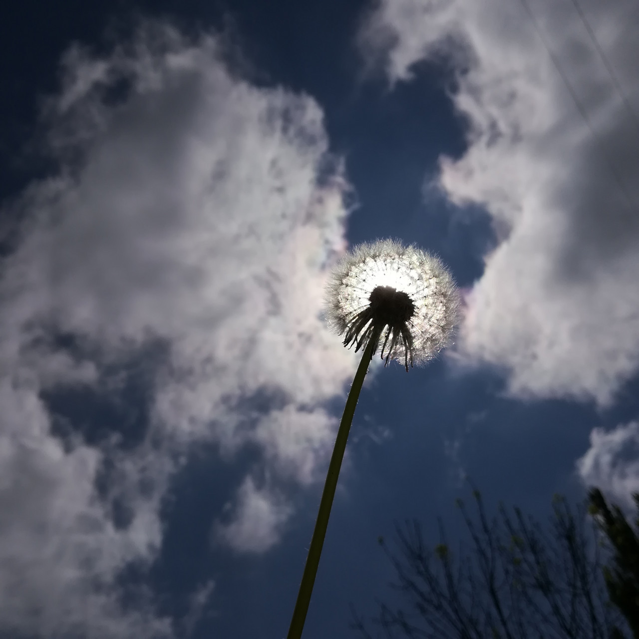 Синоптик Леус: 2026 или 2027 год могут побить тепловой рекорд