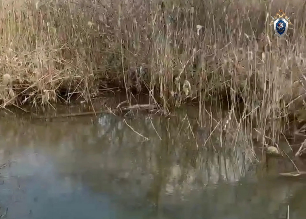 Следком и прокуратура выясняют обстоятельства утопления ребенка на Ставрополье Следком и прокуратура выясняют обстоятельства утопления ребенка на Ставрополье