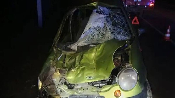 Лошадь пробила лобовое стекло «Матиза» в ДТП недалеко от Зольской