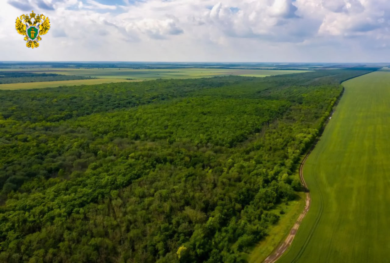 Прокуратура спасла заказник «Лесная Дача» на Ставрополье