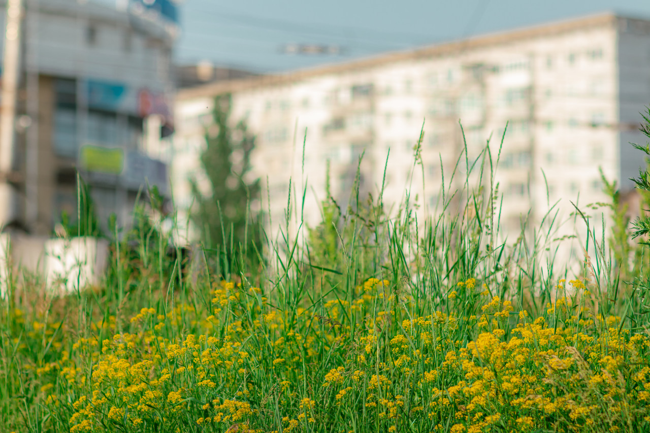 21 сирота получила квартиры в новом ЖК Пятигорска