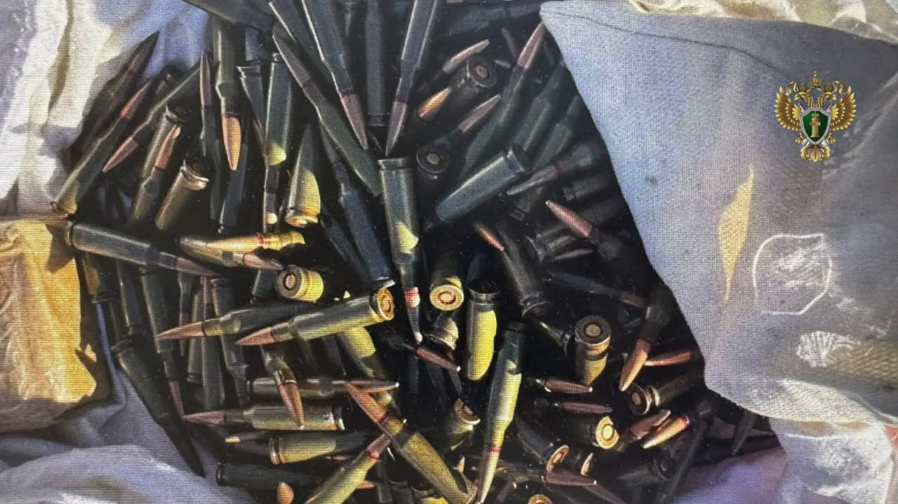 Жителя Минвод приговорили к 5 годам колонии за перепродажу патронов