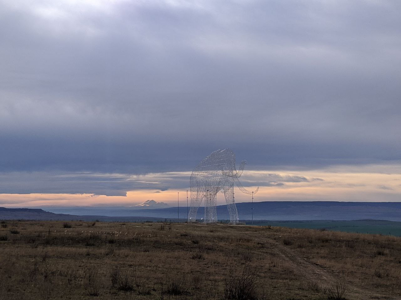 Ставропольчане могут выиграть плюшевого слона и ценный приз за раскраску