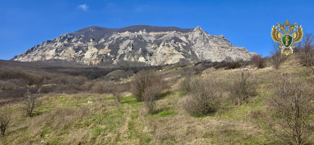 На Ставрополье организатора экоакции оштрафовали за загрязнение природы