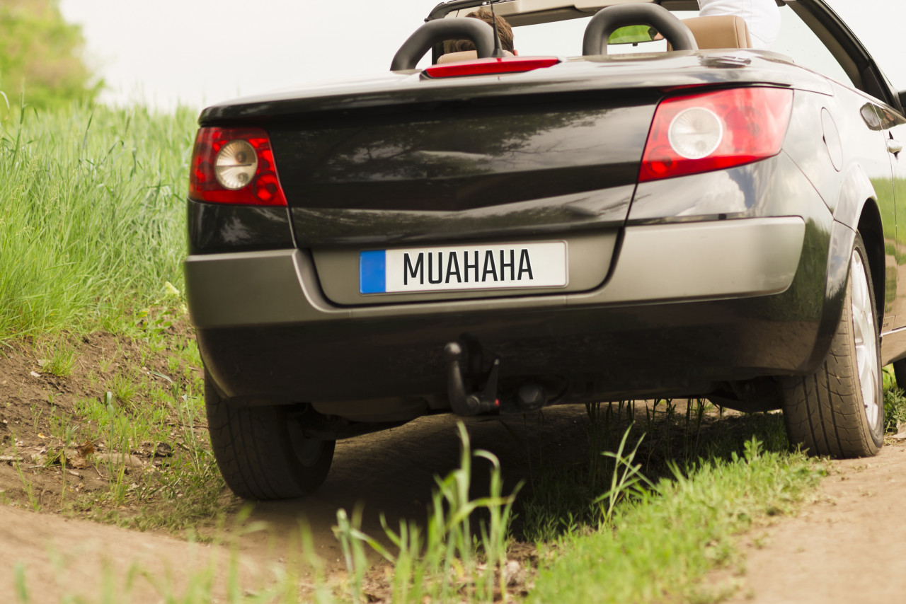 Красивые автономера можно будет купить на "Госуслугах"