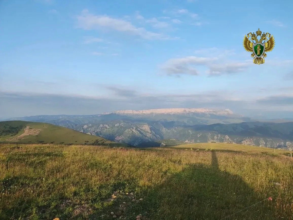 Прокуратура обязала облагородить охотничьи угодья на КМВ