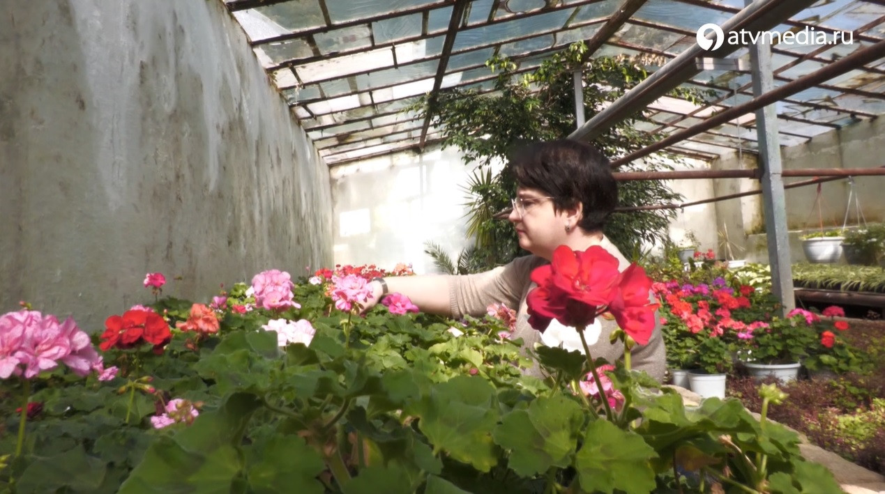 Кто делает Ставрополь цветущим?