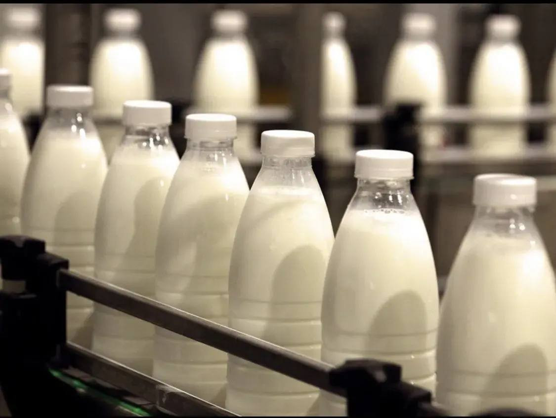 10 производств крафтового молока открылись на Ставрополье за последние два года