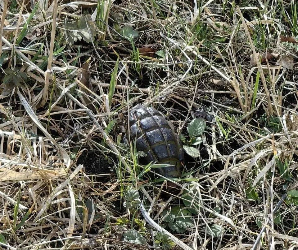 Гранату обнаружили в 5 километрах от Олимпийского комплекса в Кисловодске