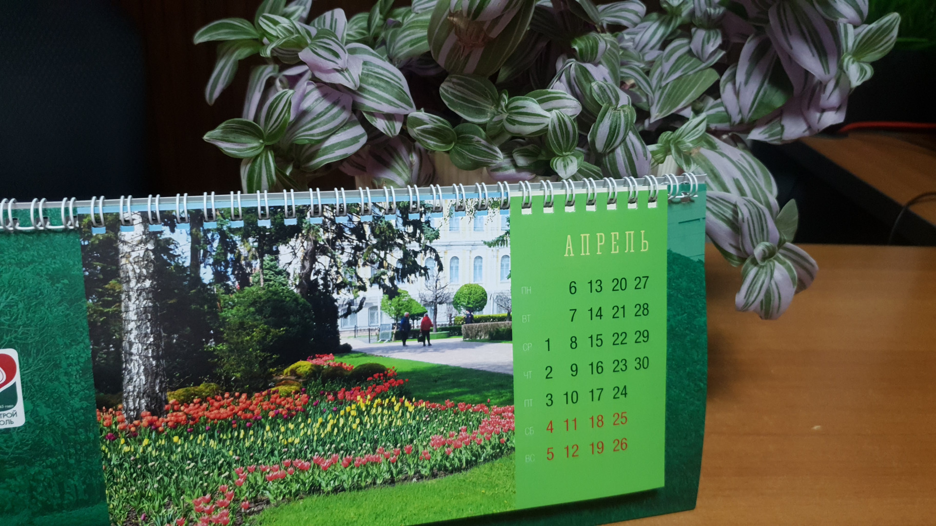 Какие законы вступают в силу в апреле 2026 года на Ставрополье?