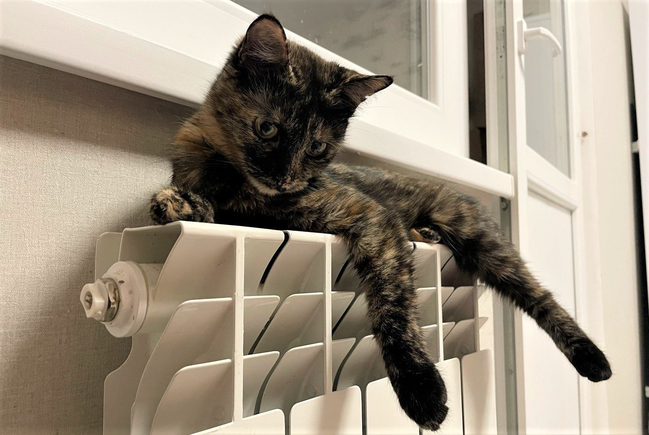 Раскрыто, когда отключат отопление в Ставропольском крае