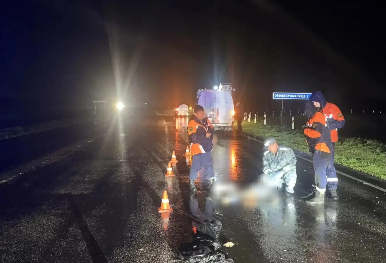 Пешеход погиб под колесами большегруза в Красногвардейском округе