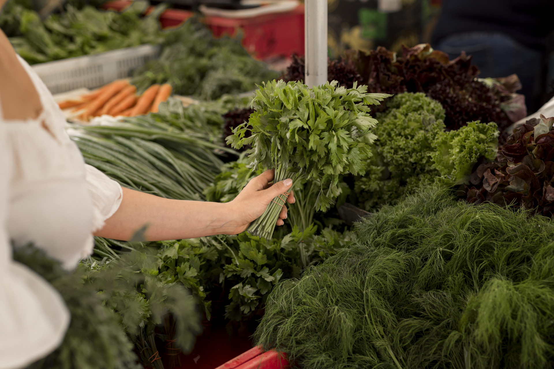 График ярмарок в Ставрополе в апреле 2026 года