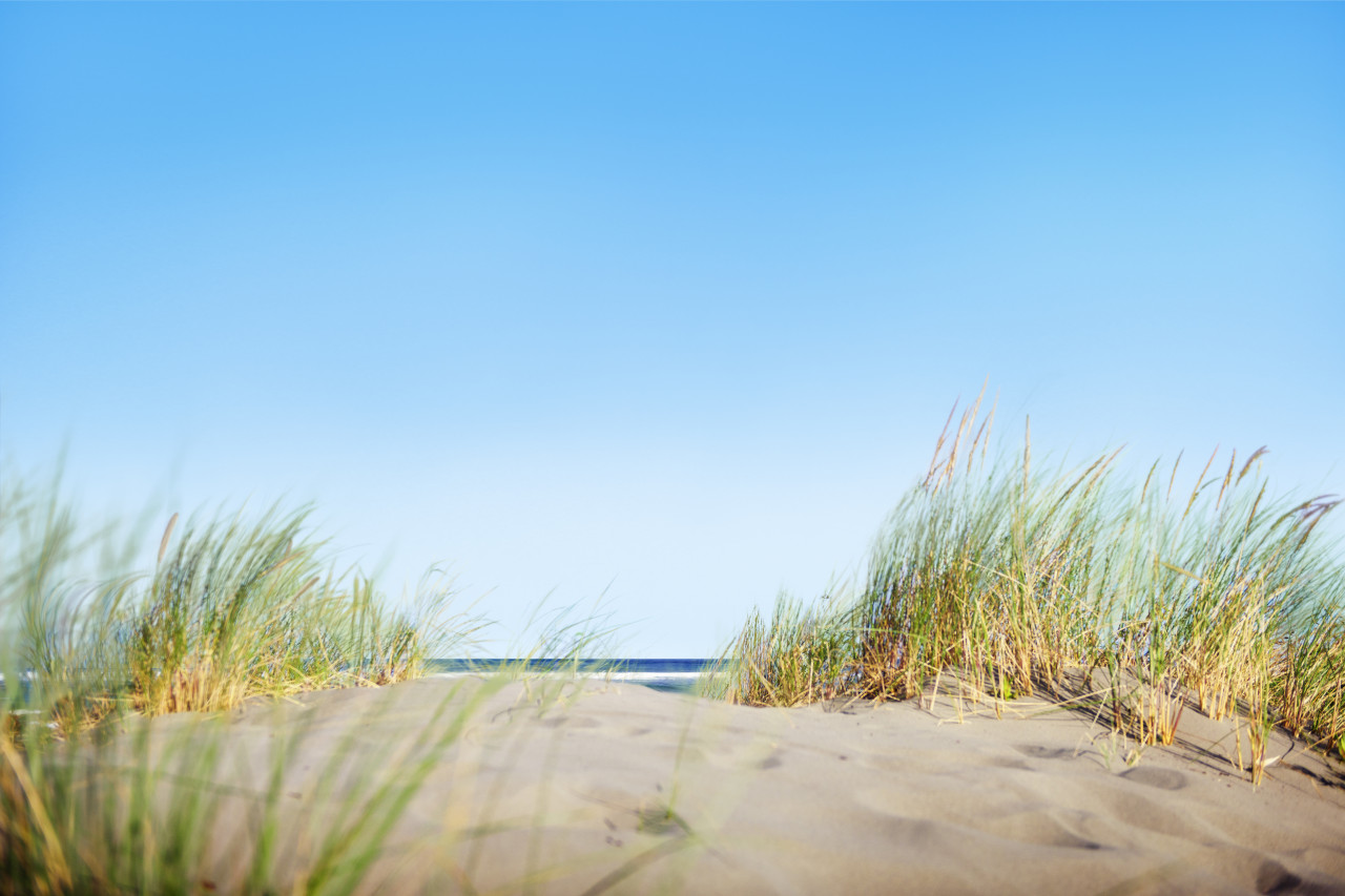 Астраханец судится с отелем из‑за нефтяного пляжа