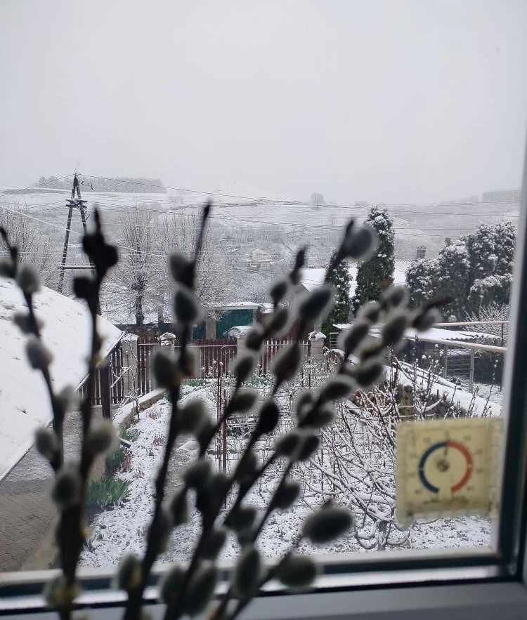 Заморозки до -3 градусов вновь ожидаются на Ставрополье Заморозки до -3 градусов вновь ожидаются на Ставрополье