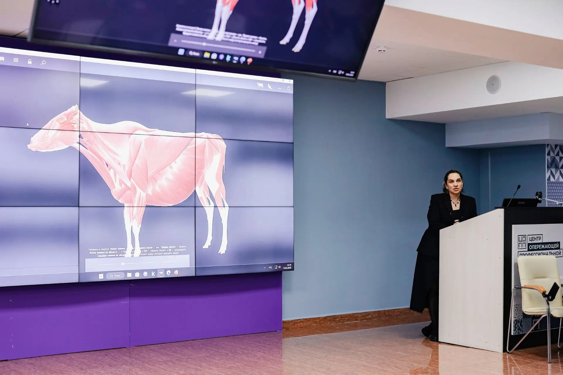 Финал всероссийской олимпиады по ветеринарии проходит на Ставрополье