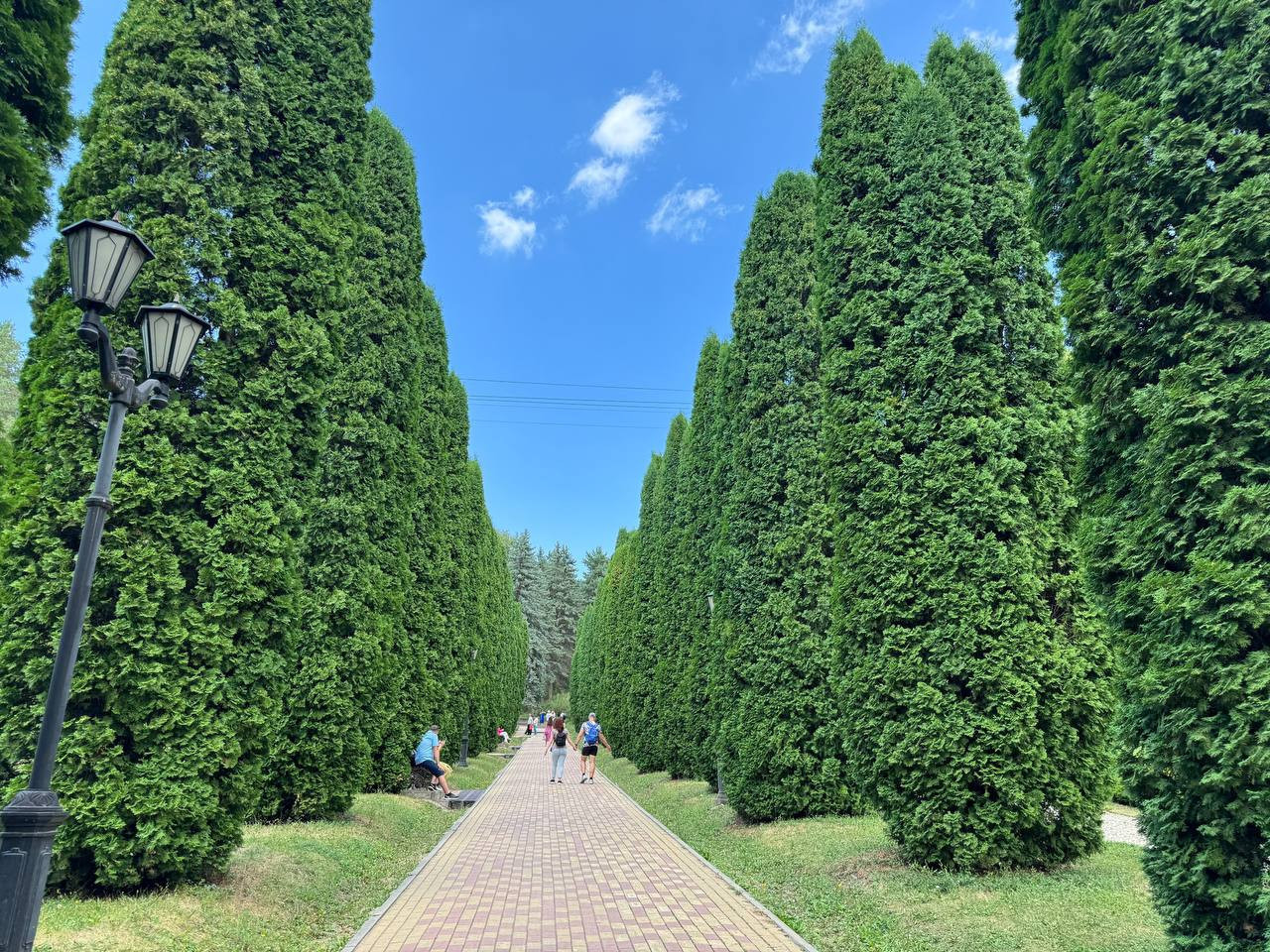 В 2026 году самый чистый воздух оказался в Кисловодске