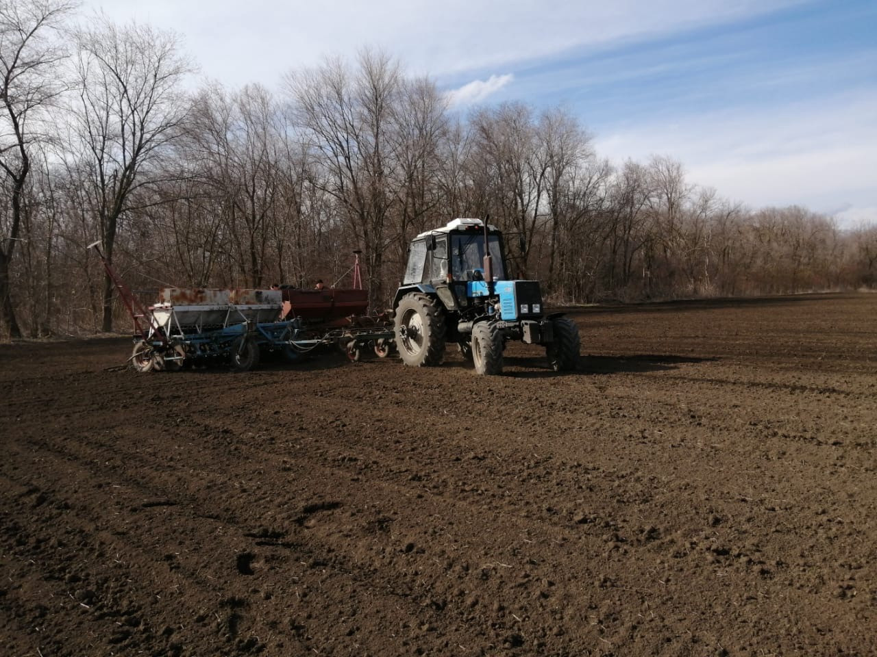 213 тыс. га засеяли горохом ставропольские аграрии