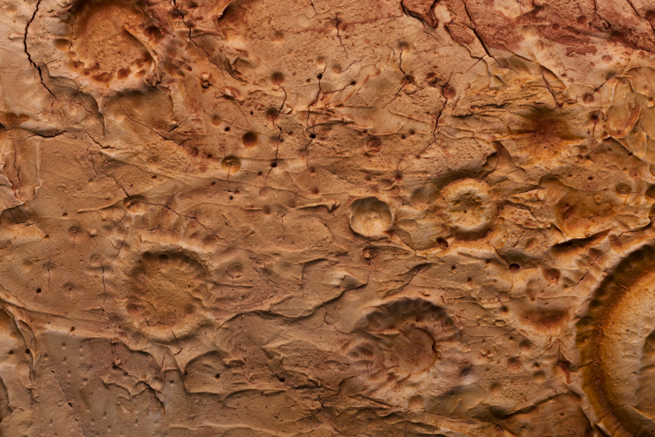 На Марсе нашли новые органические соединения - ключ к поиску древней жизни