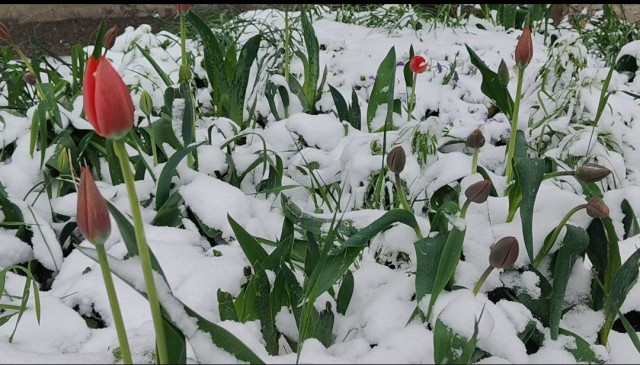 Штормовое предупреждение продлили на Ставрополье до 26 апреля