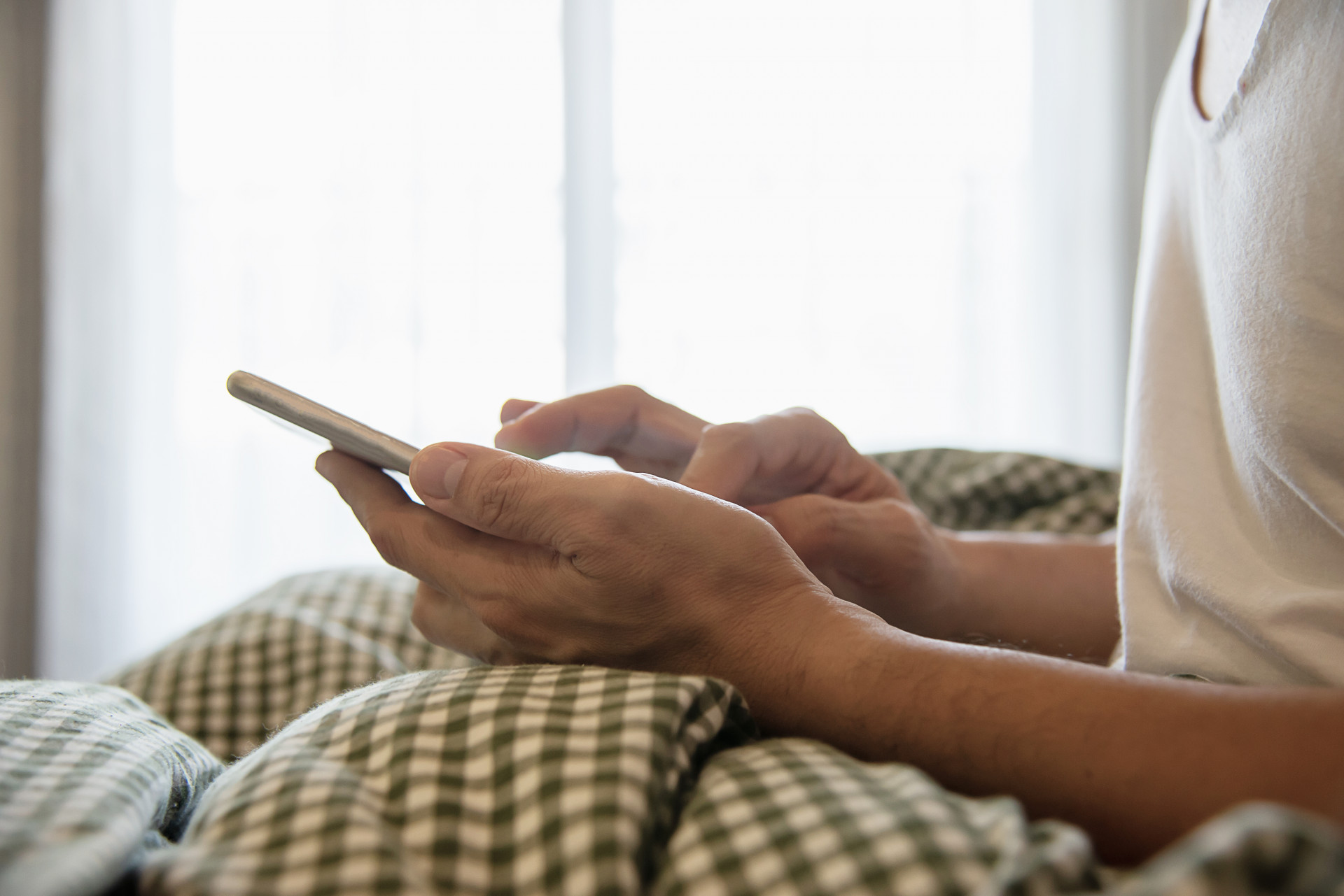 «Лиза Алерт» и известная пиццерия вошли в российский «белый список»