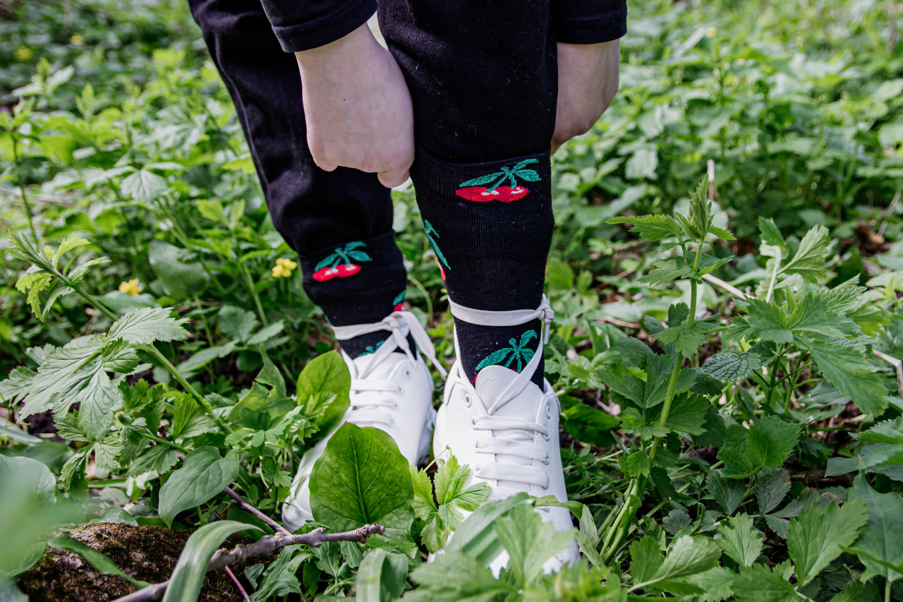 За неделю клещи покусали 126 ставропольцев