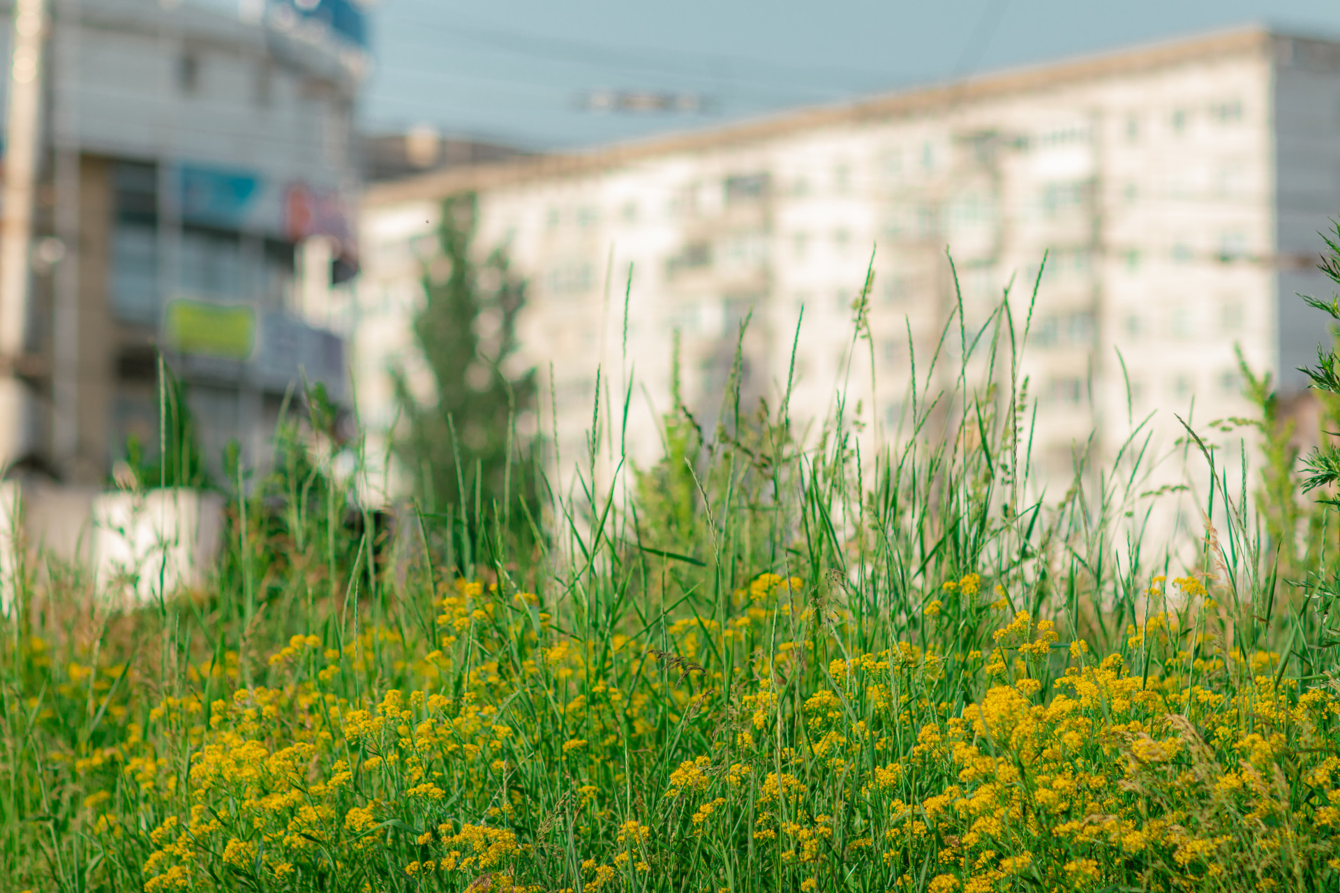 Почти в 300 многоквартирниках Ставрополья обновят газопровод