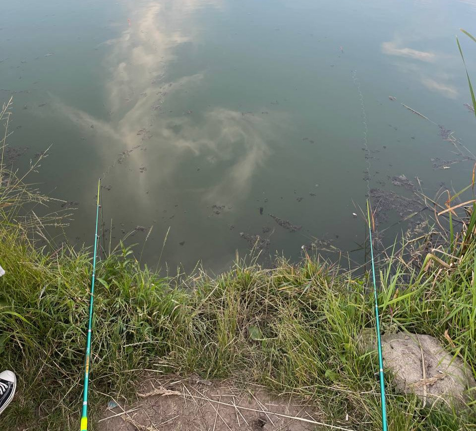 В пяти регионах Северного Кавказа запретили любительскую рыбалку