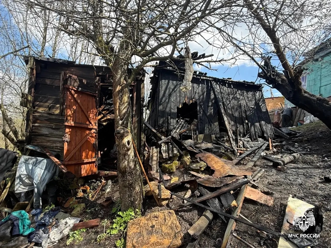 Шашлык без присмотра спалил сарай и обжег руки пенсионеру в Балашове