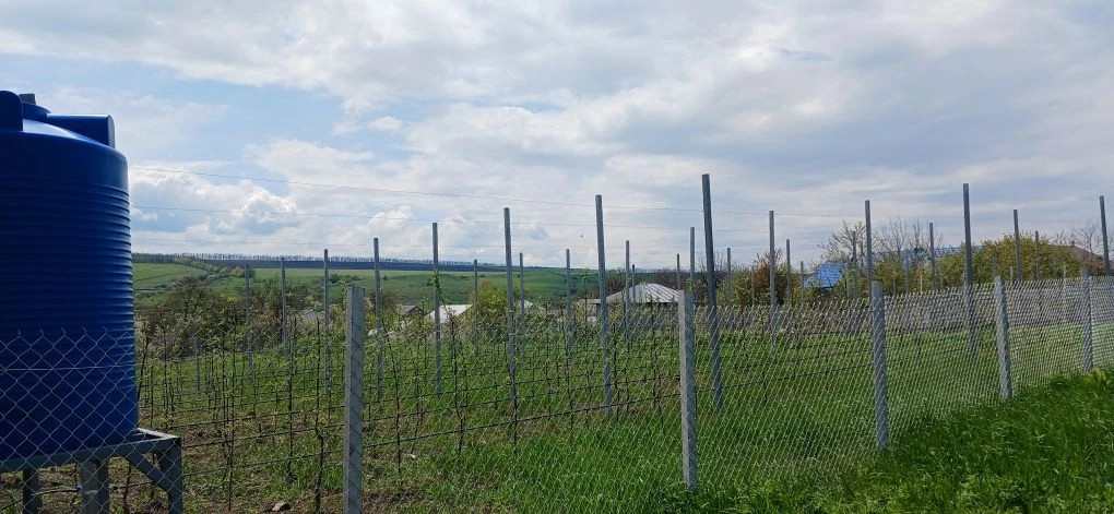 Школьники ухаживают за садом с 850 саженцами в селе Юца