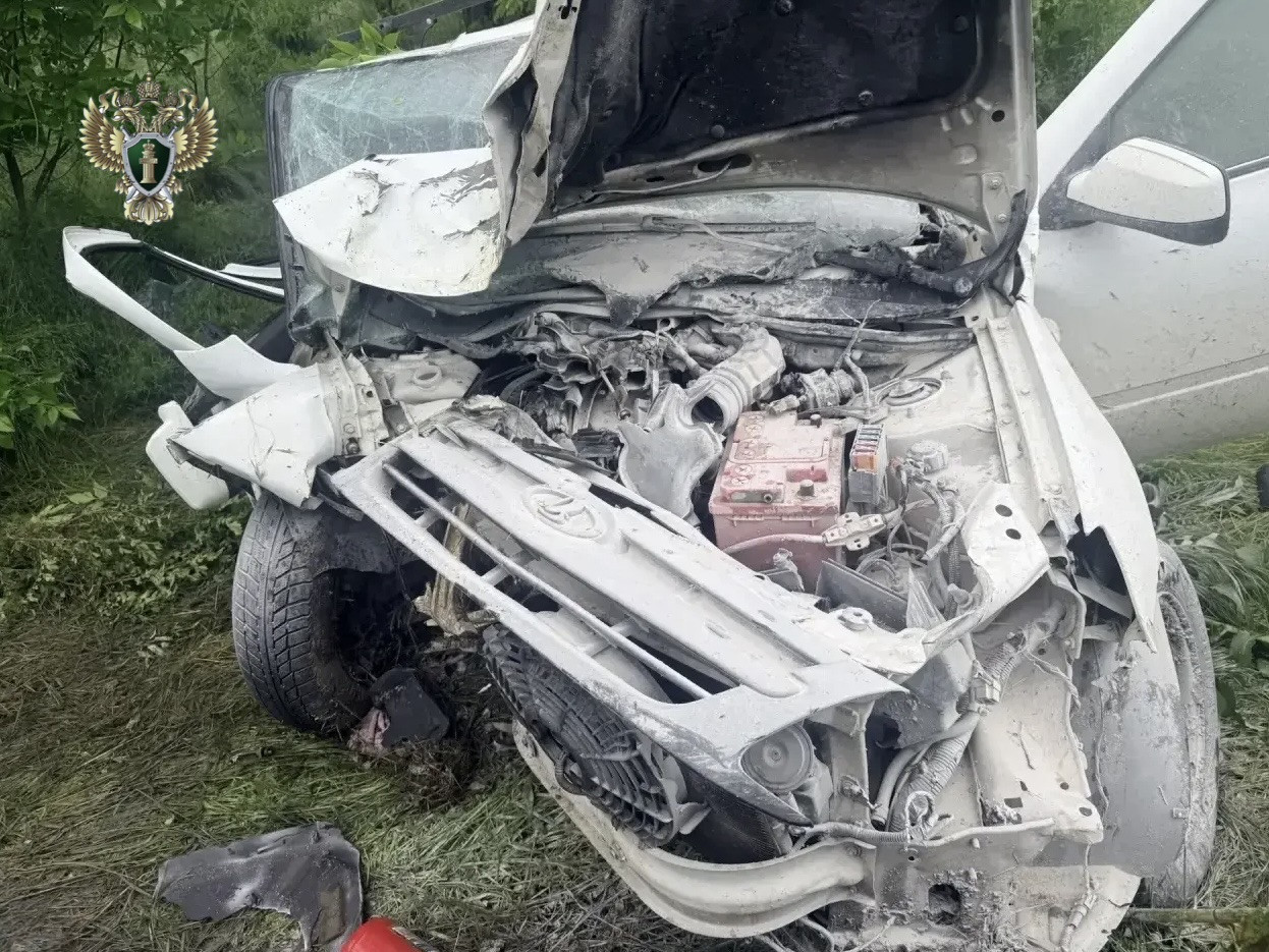 Прокуратура организовала проверку по факту смертельной аварии в Буденновском округе