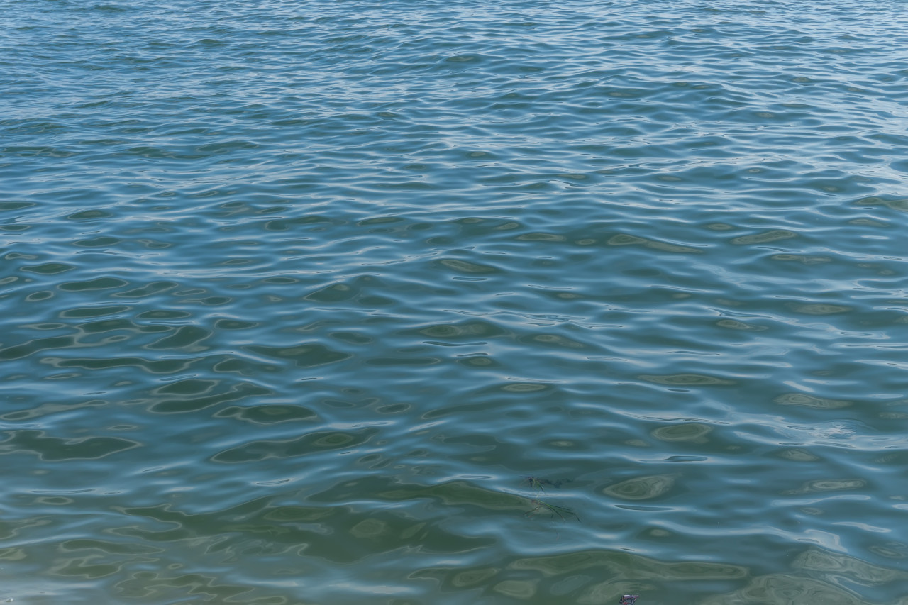 В МЧС Ставрополья сообщили об опасном повышении уровня воды в реке Егорлык