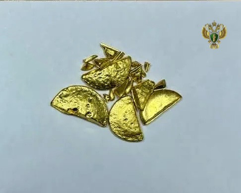 17 золотых слитков конфисковали в доход государства на Ставрополье