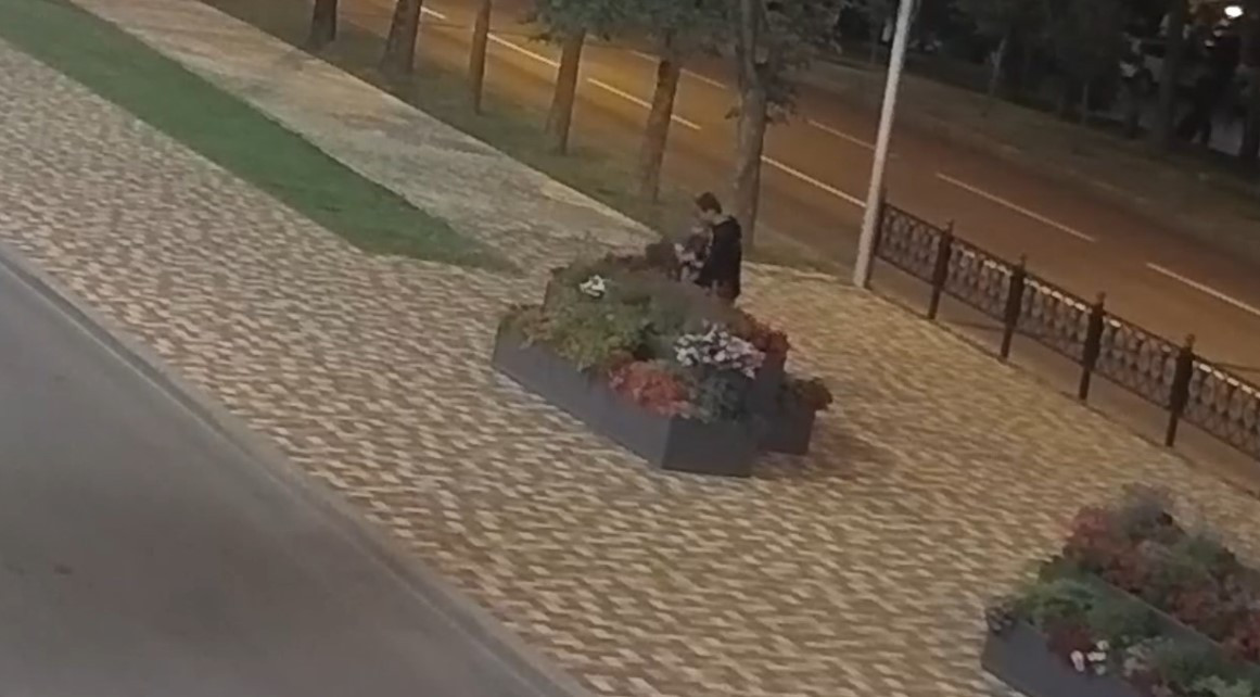 Вандалы вырвали цветы из клумбы в центре Ставрополя
