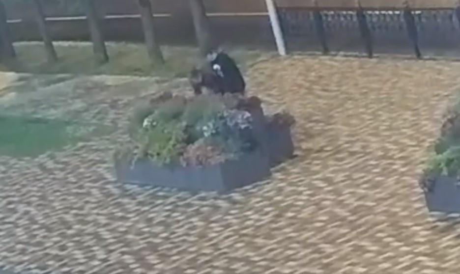 Вандалы вновь атаковали цветники в центре Ставрополя