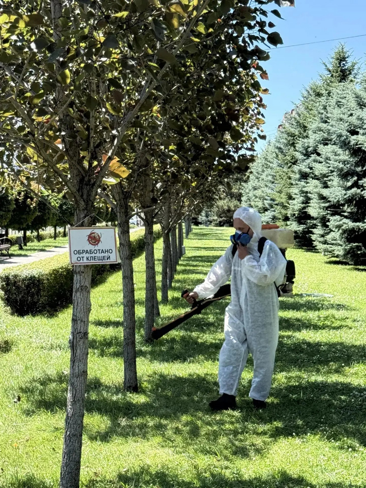 В Ставрополе от клещей обработали около 140 га общественных пространств