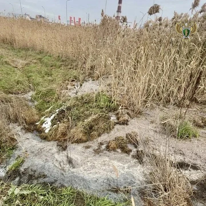 Ущерб на 1 млн рублей принесла организация почве в Минеральных Водах