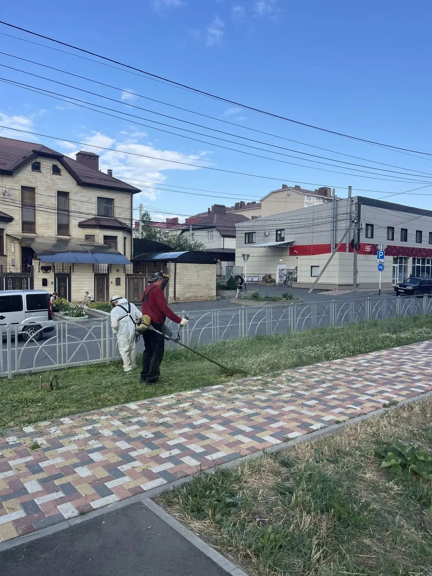 В Ставрополе выкосили 12 млн квадратов растений-аллергенов
