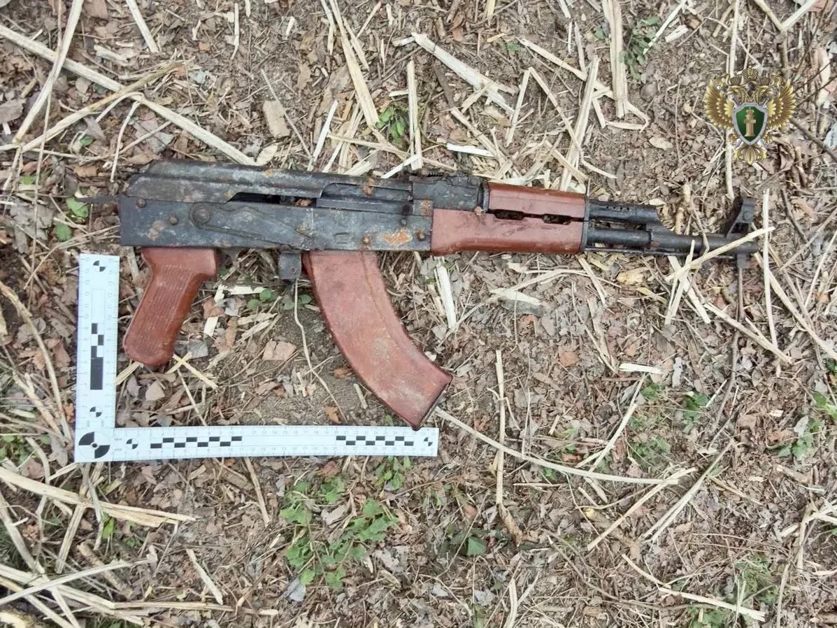 К 5,5 годам приговорили стрелявшего в сторону людей мужчину на Ставрополье