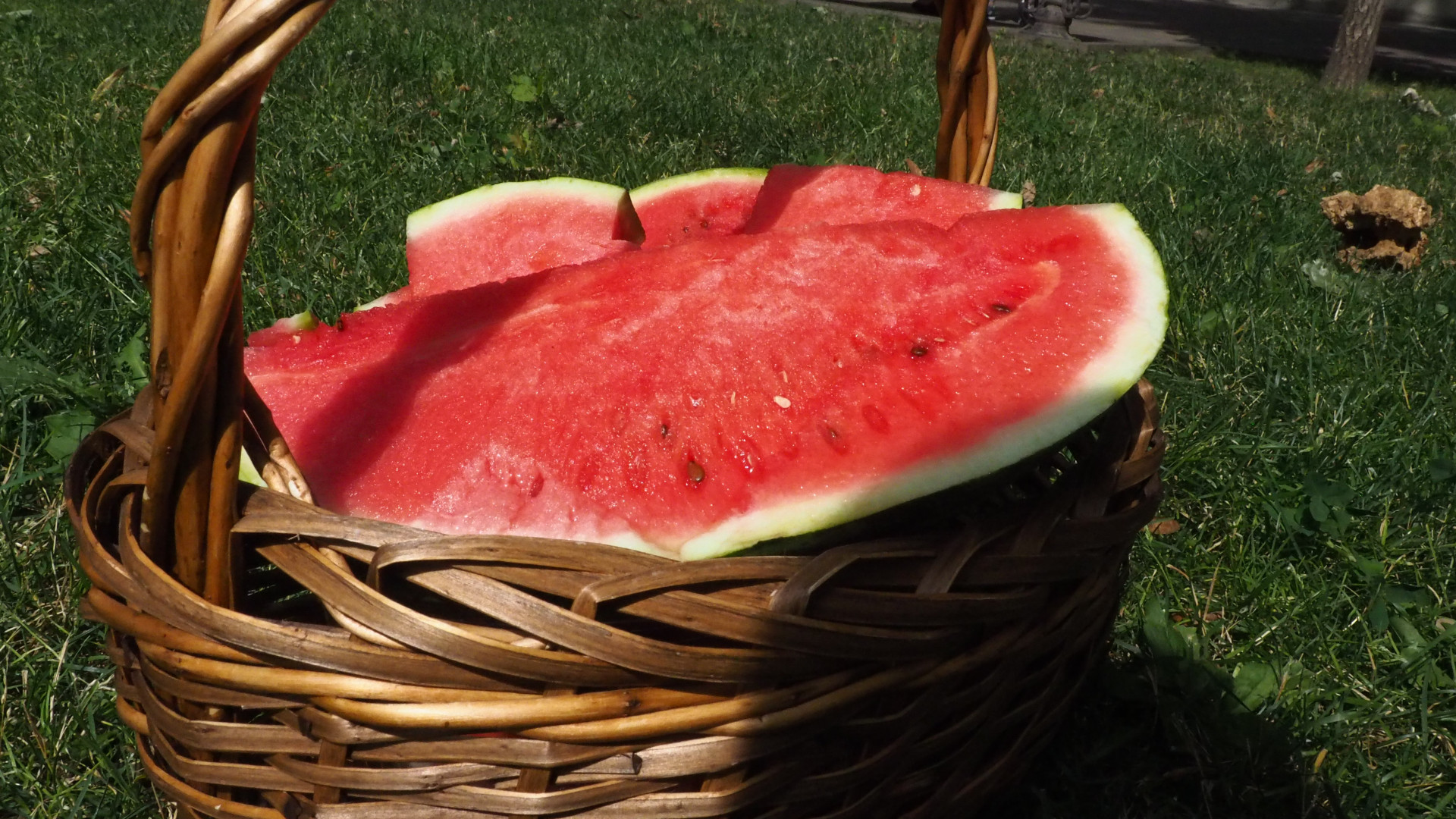 Ставропольцам рассказали, как правильно выбирать арбузы и дыни Ставропольцам рассказали, как правильно выбирать арбузы и дыни