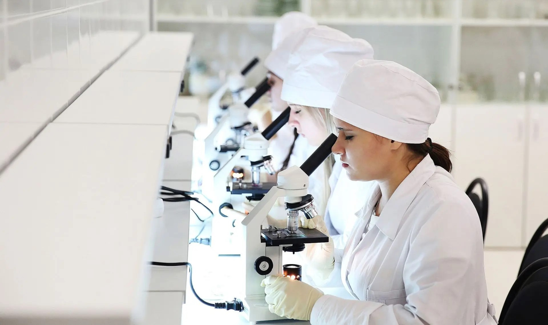 Интерес к аграрным и инженерным специальностям в СтГАУ вырос на 40%