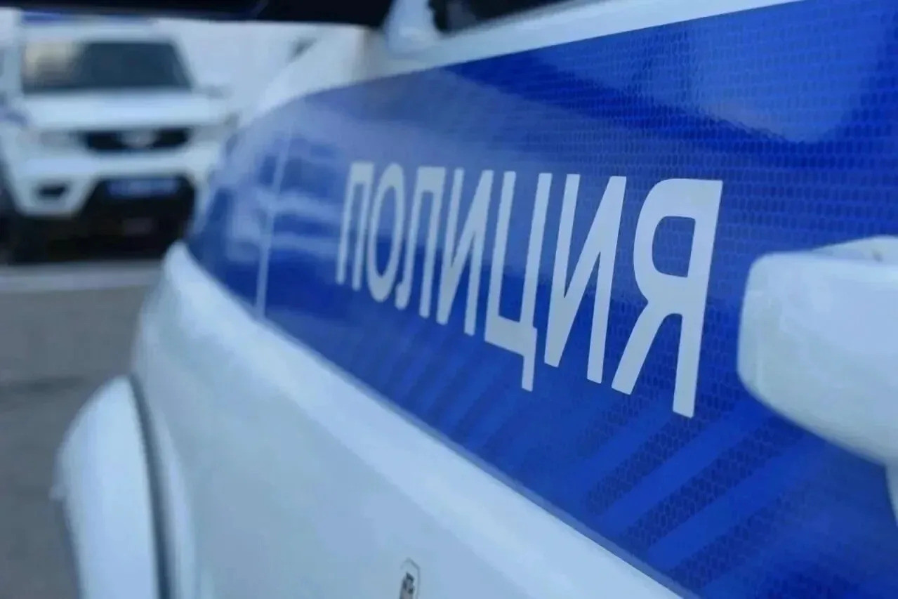 В Курском округе конфликт из-за скота закончился уголовным делом