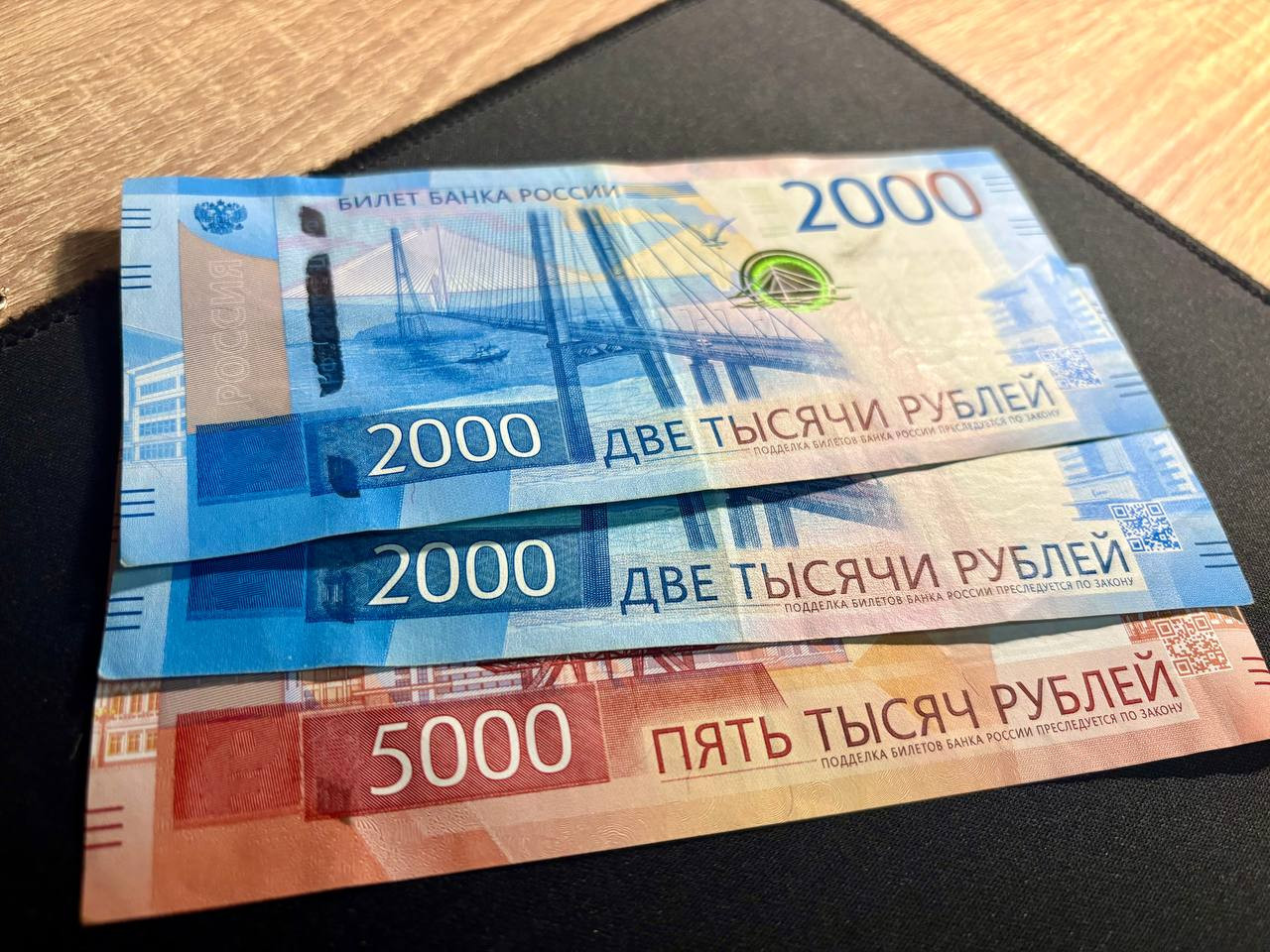 Мать и дочь из Буденновска обманули банк почти на 30 млн рублей